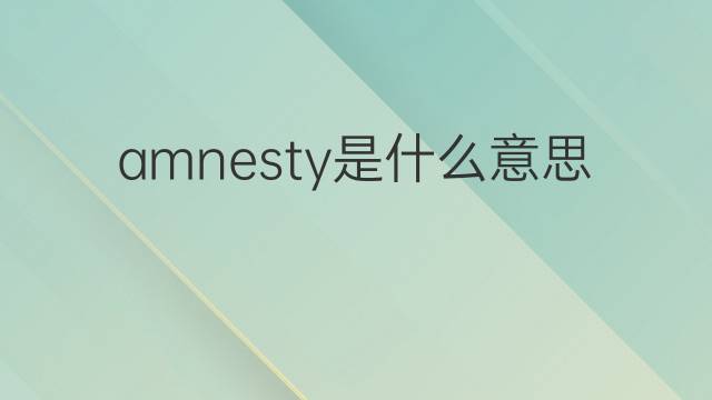 amnesty是什么意思 amnesty的中文翻译、读音、例句