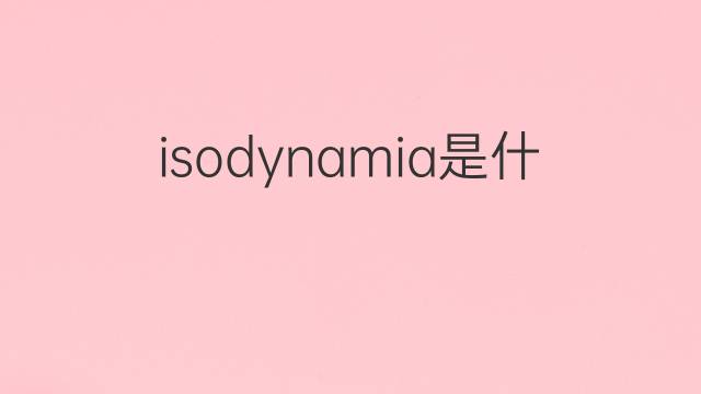 isodynamia是什么意思 isodynamia的中文翻译、读音、例句
