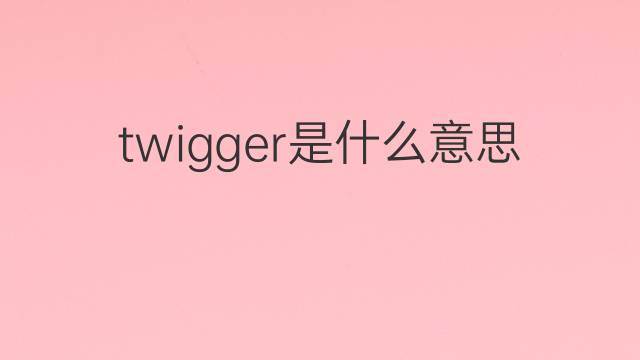 twigger是什么意思 twigger的中文翻译、读音、例句