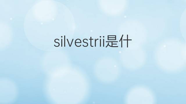silvestrii是什么意思 silvestrii的中文翻译、读音、例句