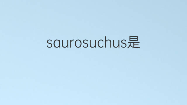 saurosuchus是什么意思 saurosuchus的中文翻译、读音、例句