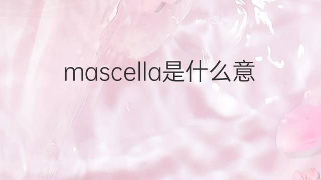 mascella是什么意思 mascella的中文翻译、读音、例句