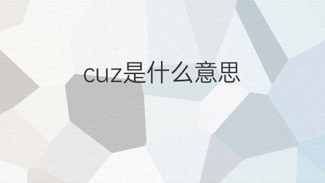 cuz是什么意思 cuz的中文翻译、读音、例句