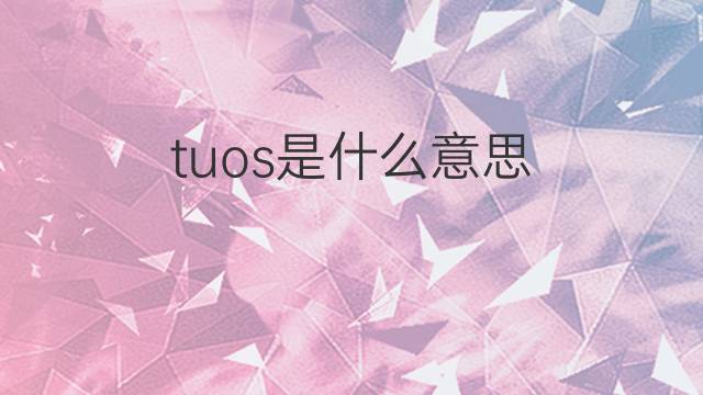 tuos是什么意思 tuos的中文翻译、读音、例句