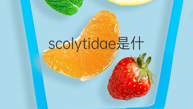scolytidae是什么意思 scolytidae的中文翻译、读音、例句