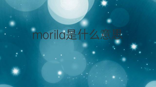 morila是什么意思 morila的中文翻译、读音、例句