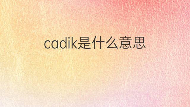 cadik是什么意思 cadik的中文翻译、读音、例句