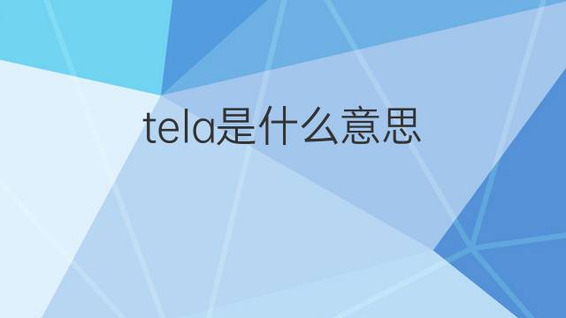 tela是什么意思 tela的中文翻译、读音、例句