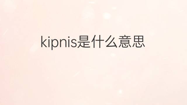 kipnis是什么意思 kipnis的中文翻译、读音、例句