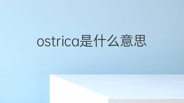 ostrica是什么意思 ostrica的中文翻译、读音、例句