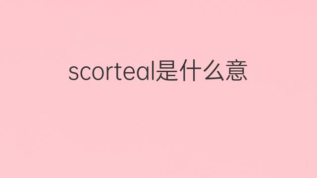 scorteal是什么意思 scorteal的中文翻译、读音、例句