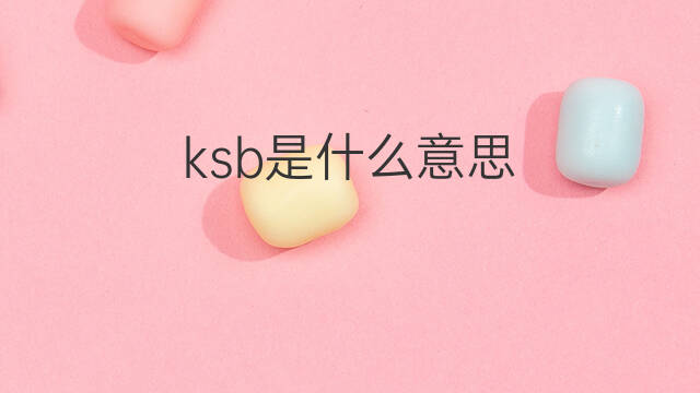 ksb是什么意思 ksb的中文翻译、读音、例句