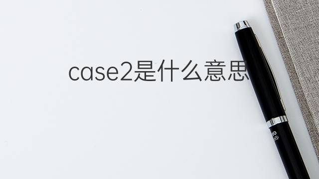 case2是什么意思 case2的中文翻译、读音、例句