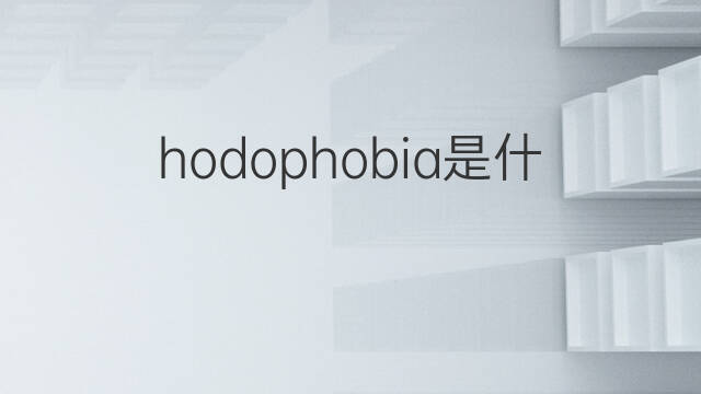 hodophobia是什么意思 hodophobia的中文翻译、读音、例句