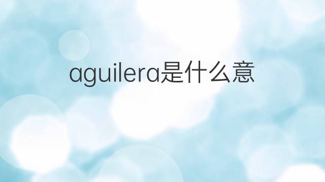 aguilera是什么意思 aguilera的中文翻译、读音、例句