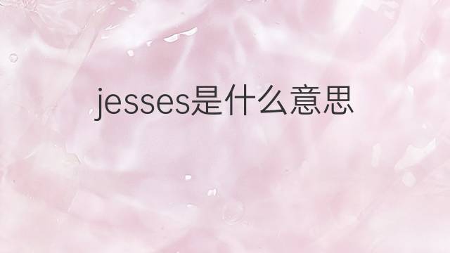 jesses是什么意思 jesses的中文翻译、读音、例句