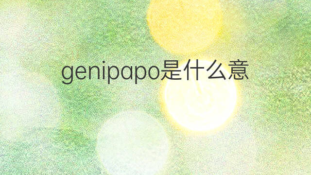 genipapo是什么意思 genipapo的中文翻译、读音、例句