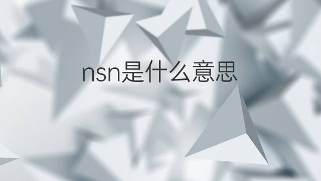 nsn是什么意思 nsn的中文翻译、读音、例句