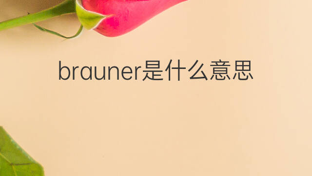brauner是什么意思 brauner的中文翻译、读音、例句