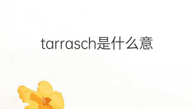 tarrasch是什么意思 tarrasch的中文翻译、读音、例句