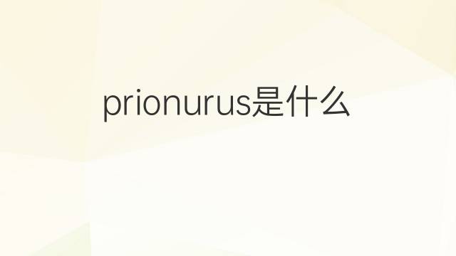 prionurus是什么意思 prionurus的中文翻译、读音、例句