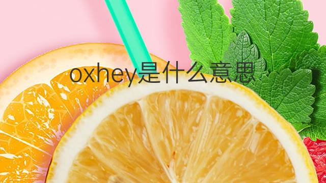 oxhey是什么意思 oxhey的中文翻译、读音、例句