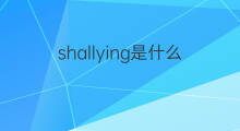shallying是什么意思 shallying的中文翻译、读音、例句
