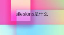 silesians是什么意思 silesians的中文翻译、读音、例句