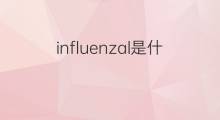 influenzal是什么意思 influenzal的中文翻译、读音、例句