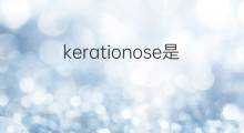 kerationose是什么意思 kerationose的中文翻译、读音、例句
