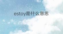 estoy是什么意思 estoy的中文翻译、读音、例句
