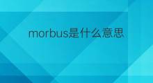 morbus是什么意思 morbus的中文翻译、读音、例句