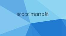 scoccimarro是什么意思 scoccimarro的中文翻译、读音、例句