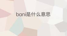 bani是什么意思 bani的中文翻译、读音、例句