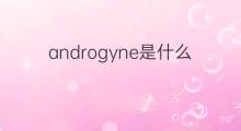 androgyne是什么意思 androgyne的中文翻译、读音、例句
