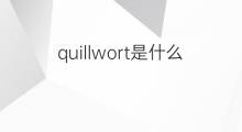 quillwort是什么意思 quillwort的中文翻译、读音、例句