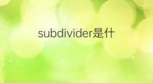 subdivider是什么意思 subdivider的中文翻译、读音、例句
