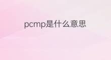 pcmp是什么意思 pcmp的中文翻译、读音、例句