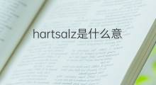 hartsalz是什么意思 hartsalz的中文翻译、读音、例句