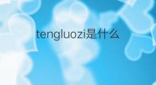 tengluozi是什么意思 tengluozi的中文翻译、读音、例句