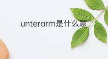 unterarm是什么意思 unterarm的中文翻译、读音、例句
