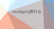 revelganj是什么意思 revelganj的中文翻译、读音、例句