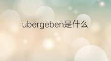 ubergeben是什么意思 ubergeben的中文翻译、读音、例句