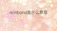 armband是什么意思 armband的中文翻译、读音、例句