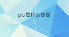 piu是什么意思 piu的中文翻译、读音、例句