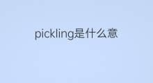 pickling是什么意思 pickling的中文翻译、读音、例句