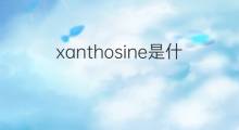 xanthosine是什么意思 xanthosine的中文翻译、读音、例句