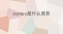conley是什么意思 conley的中文翻译、读音、例句