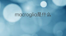 macroglia是什么意思 macroglia的中文翻译、读音、例句