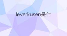 leverkusen是什么意思 leverkusen的中文翻译、读音、例句